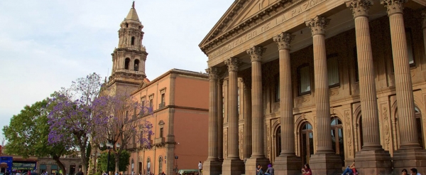 Investigación de tendencia: dos municipios de San Luis Potosí 2018
